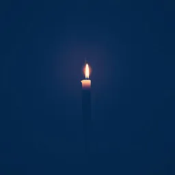 Lost in Shadows