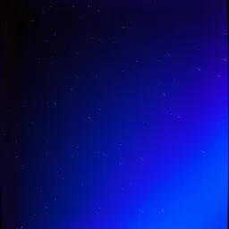 When the Wish Came True