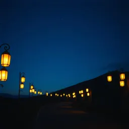 The Narrow Road