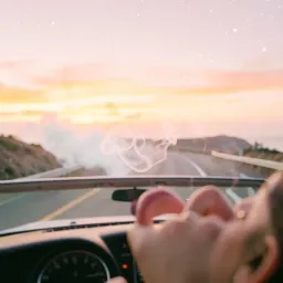 Windows Down Kisses