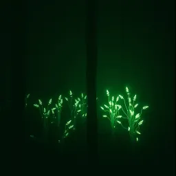 Buhay Na Patay