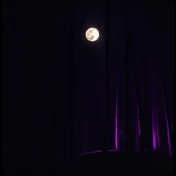 Tonight