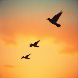 Free Again