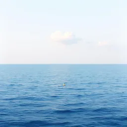 My dream