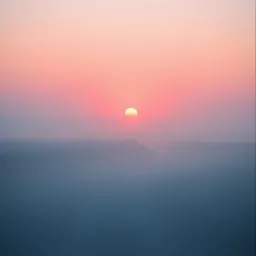 Stay