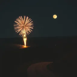 Bottle Rockets and Honey Wine