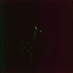 Cornfield Caper