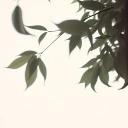 Endless Fall