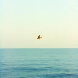 Be free