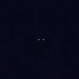 The Black Cat