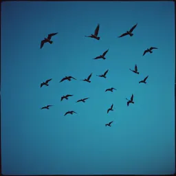 Wait, Don’t Go!