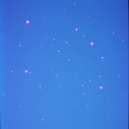 Chasing Lights (光を追いかけて)