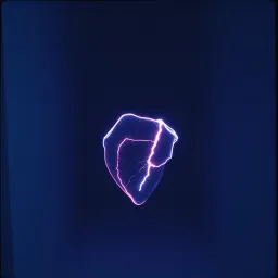 Heart Fragments