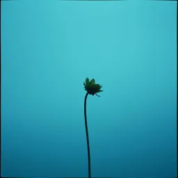 In and out