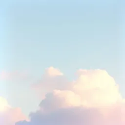 Echo