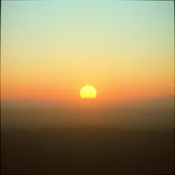 Julien's Sunlight