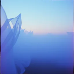 Entre les voiles