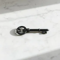 Black innovation