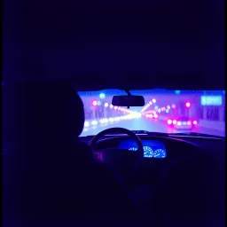 Backseat confessions