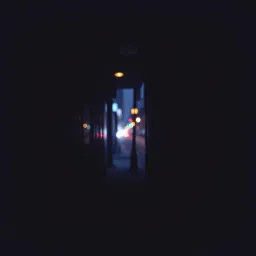 Shadows on the Pavement