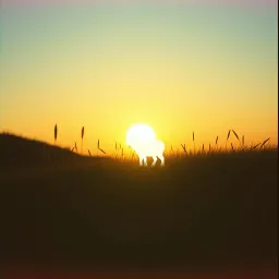 The Lamb of God