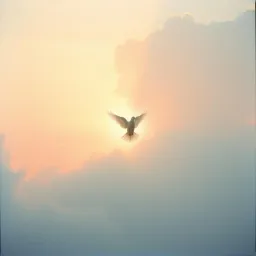 The True Messages of Jeshua ( Jesus)