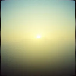 Sunny day in mind