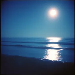 In the Moonlight