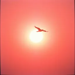 Breaking Free