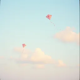 Take your freedom