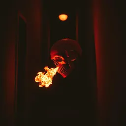 Jump The Gun