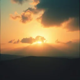 Back to the light