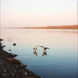 Наталья