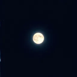 Moon