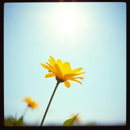 Pura luz