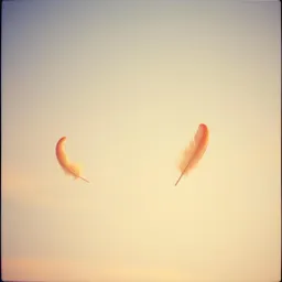 Weightless