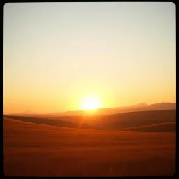 Vast lands