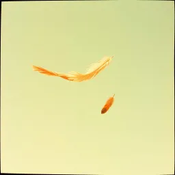 Letting go