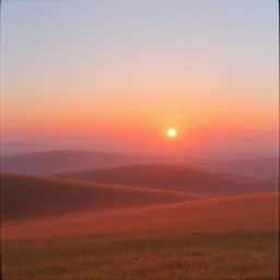 Color