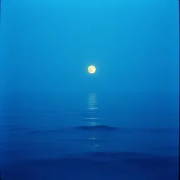 Lost in my Dreams