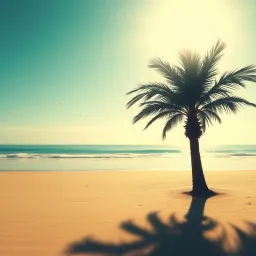 Sunny  Sea and Sand
