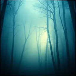 Lost in the haze