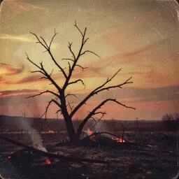 Burned Into the Dirt