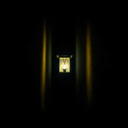 Luz en la Oscuridad