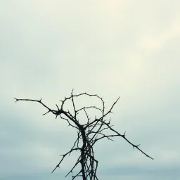 Stuck in Between