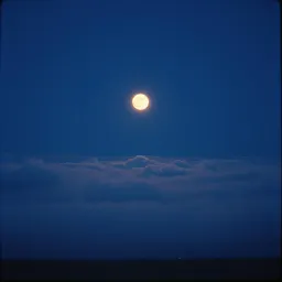 Longing