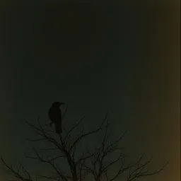 Ravens Ways