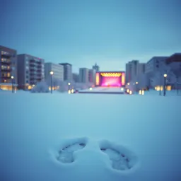 Ninge iară