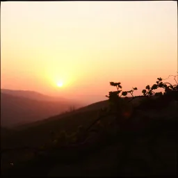 Nosso amanhecer 