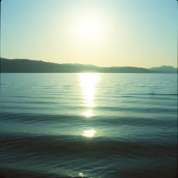 My Peace On Earth